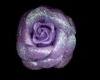 Purple glitter Rose