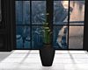 JV Vase Plant