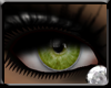 [TP] Terpsi Green Eyes
