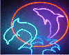 NEON DOLPHINS IN RING