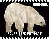 Polar Bear Pet M/F