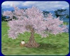 ! ROMATIC CHERRY TREE