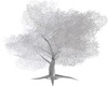 SNOW TREE