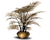 Black and gold plant