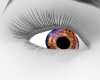 ~DR~Org/Blu magic eye