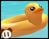 *Y* Floating Duck