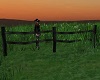 Black Corral Fence