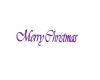 {LS} Neon Christmas Sign