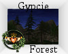 ~QI~ Gypcie Forest