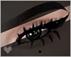 Eyelashes