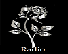 Sliver Rose Radio