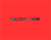 walter noemi