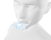 Enchanted SnowFlake