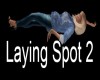 Laying Spot 2