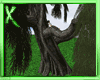 [.X.]Willow Tree