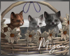 M. Kitties in Basket