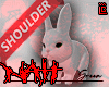 🐇 Rabbit F