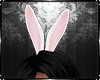 Bunny Lea Bundle #2