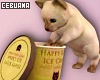 Cat w/ Ice Cream