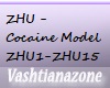 V-ZHU-C MODEL