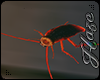 [IH] Cockroach