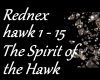 The Spirit of the Hawk