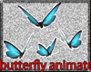 pet butterflys animated