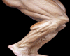 Legs Scaler M-18%