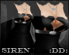 :DD: Release|Siren