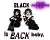 black is back random + x