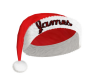 James's Santa Hat