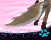 [BOO] Wyle Tail