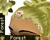 Forest Elven Sweet