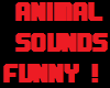 Funny Animals Sounds