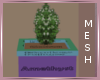 MBC|Potted Plant Mesh
