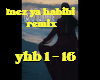 Ya Habibi remix