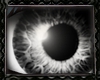 [E]*Silver Eyed Witch*