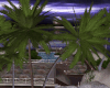 Romance Night Island