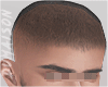 Will Haircut