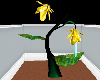 =Yellow Flower Bath=