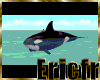 [Efr] Orca Whale swim&Sd