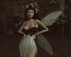 FAIRY Wings FAIRY Wings