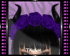 (T) Rose Horn Purple