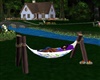 cuddle hammock