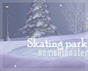 Skating Park