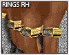 RINGS R. HAND DER