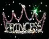 Princess radio