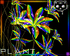 Plant Rainbow 3b Ⓚ