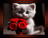 VDay Kitten Background