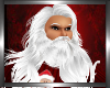 (SL) Santa Hair